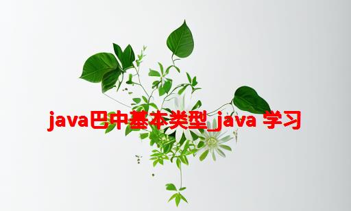 java巴中基本类型_java 学习